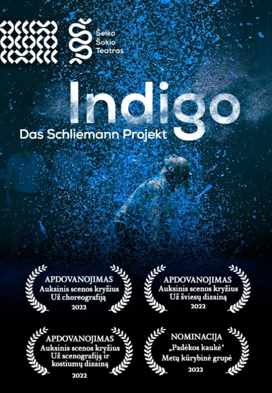 Indigo. Das Schliemann Projekt
