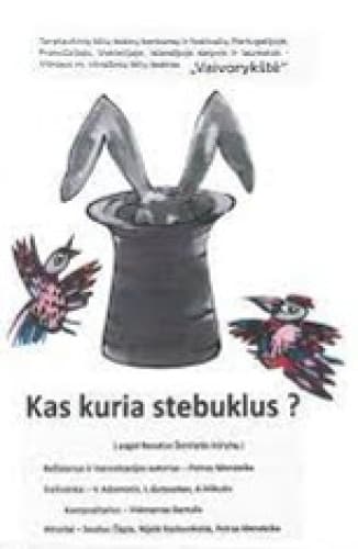 kas-kuria-stebuklus