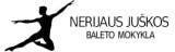 Nerijus Juška School logo