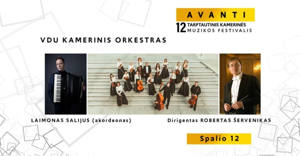 VDU CHAMBER ORCHESTRA and LAIMON SALIJUS (accordion)