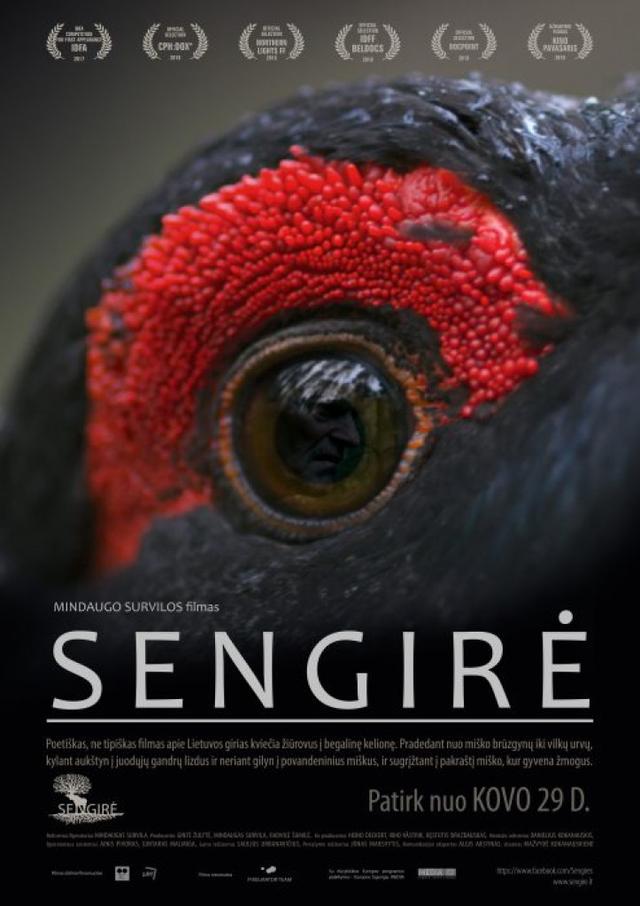 Sengiré