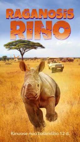 Thabo and the rhino case poster