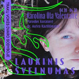 Karolina Ūla Valentaitė's exhibition "Wild Tenderness" poster
