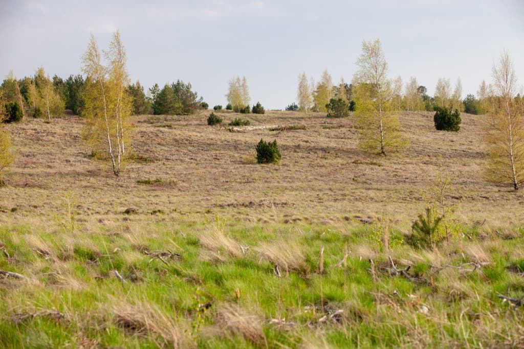 Журнал