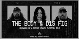 The Body & Dis Fig US/DE poster