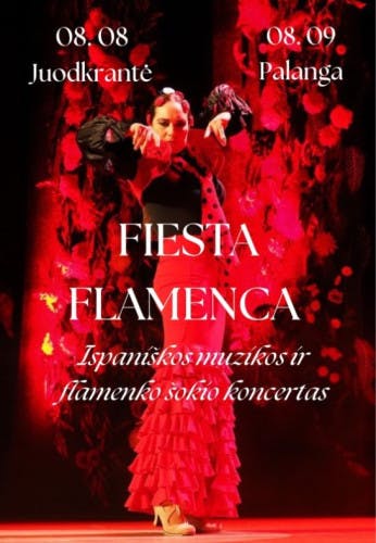 fiesta-flamenca-1-13434