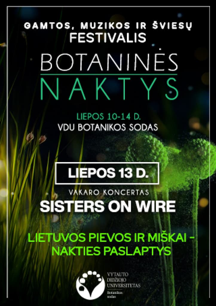 LIETUVOS PIEVOS IR MIŠKAI - NAKTIES PASLAPTYS | SISTERS ON WIRE