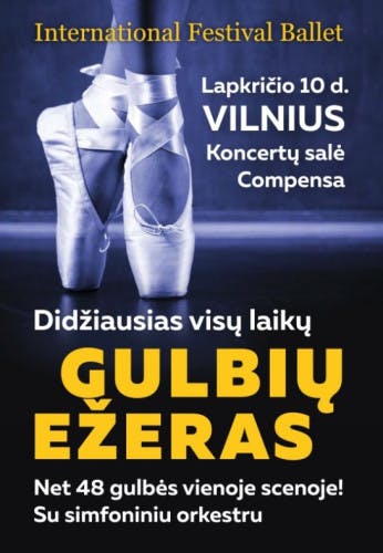 gulbiu-ezeras-i-international-festival-ballet-1811