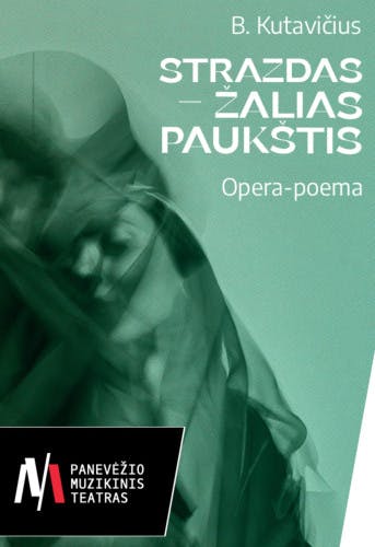 strazdas-zalias-paukstis-3239