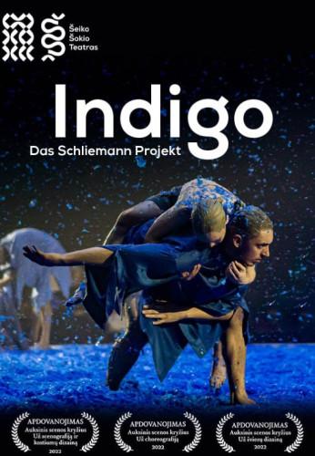 indigo-das-schliemann-projekt-1046