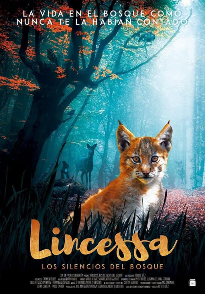 Lincesa. Miško tylos