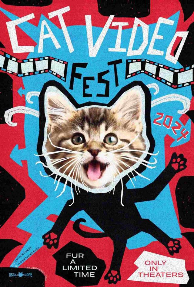 CatVideoFest 2024