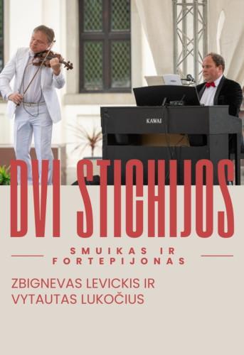 dvi-stichijos-z-levicki-ir-v-lukocius-fortepijonas-ir-smuikas-maisto-degustacija-9197