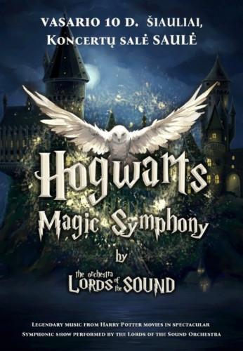 hogwarts-magic-symphony-15609