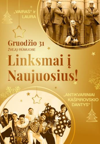 sventinis-koncertas-linksmai-i-naujuosius-16549