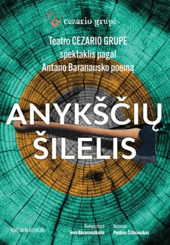 anyksciu-silelis-15158