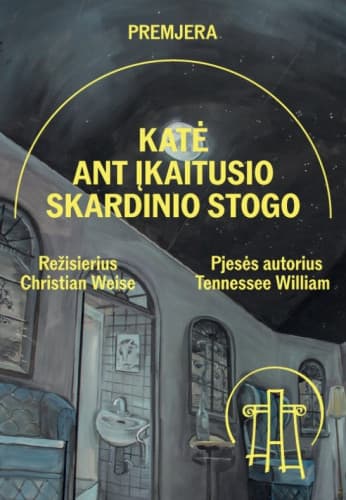 kate-ant-ikaitusio-skardinio-stogo-12733