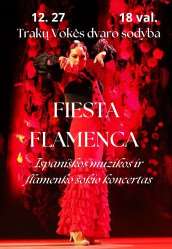 fiesta-flamenca-1-13434