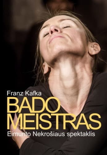 bado-meistras-271