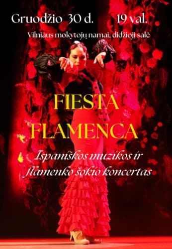 fiesta-flamenca-1-13434