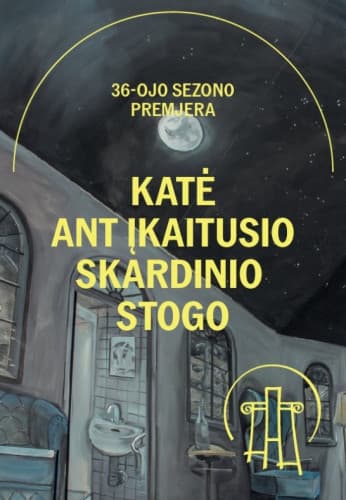 kate-ant-ikaitusio-skardinio-stogo-12733