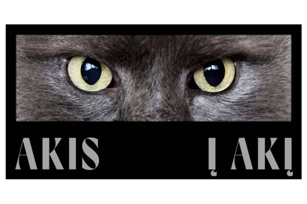 „Akis į akį“