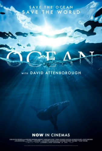 vandenynas-su-davidu-attenborough-25539
