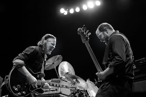 swans-25800