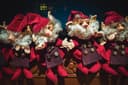 Snieguole_refresh_20221022_0322