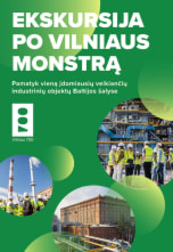 Excursion around the Vilnius Monster: history, legends, path of warmth