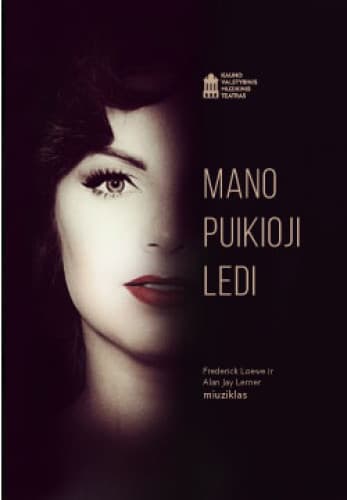 mano-puikioji-ledi-529