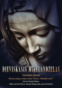 The Divine Michelangelo poster