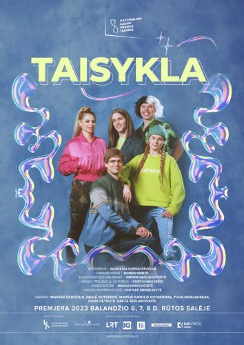 taisykla-955